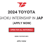 2024 Toyota Boshoku Internship in Japan