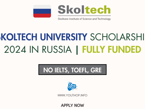 Skoltech University Scholarship 2024